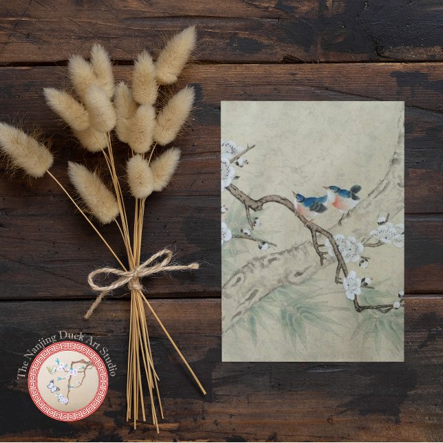 Plum Blossom in Spring Postcard (Creator Uploaded)