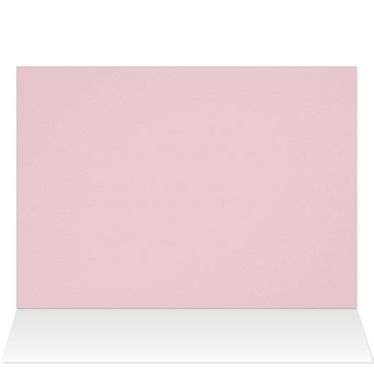 plum blossom spring pink flowers (Inside Horizontal (Top))