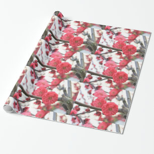 plum blossom spring pink flowers 2 wrapping paper