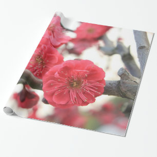 plum blossom spring pink flowers wrapping paper