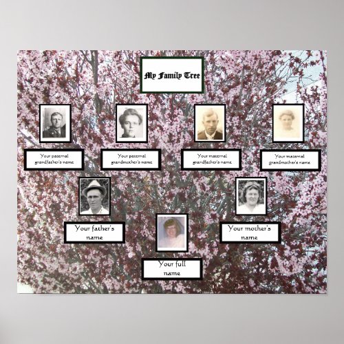 Plum Blossom Three_Generation Photo Family Tree  Poster