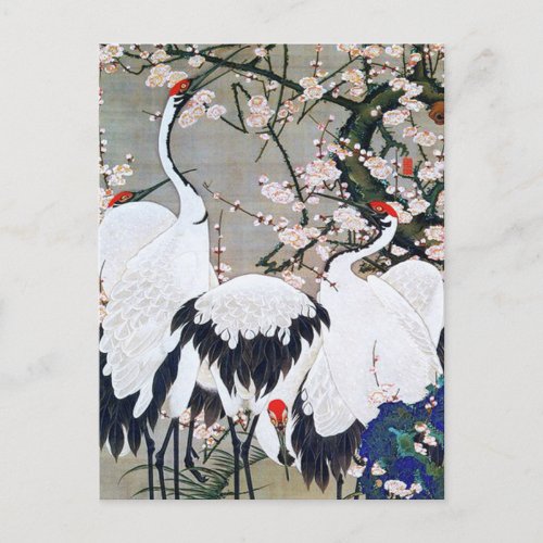 Plum Blossoms and Cranes by Ito Jakuchu Postcard