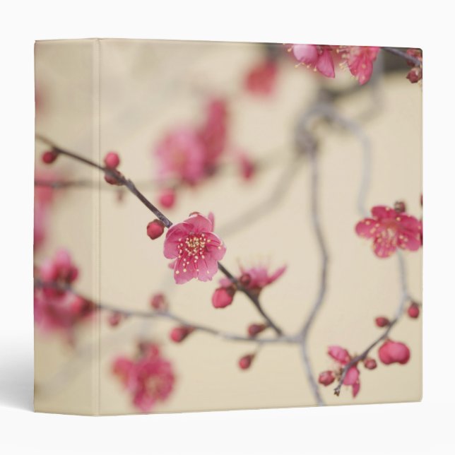 Plum Blossoms Binder (Front/Spine)