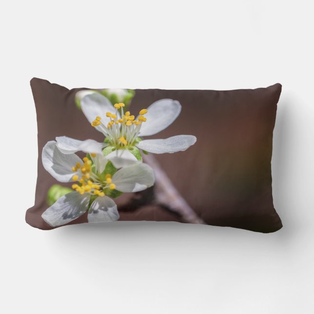 Plum Blossoms Lumbar Pillow (Front)