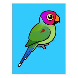 Plum-headed Parakeet male Postcard