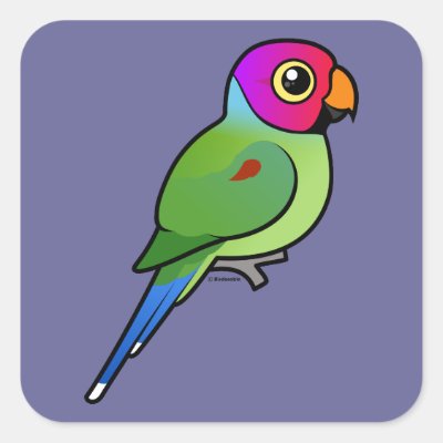 Plum-headed Parakeet male Square Sticker