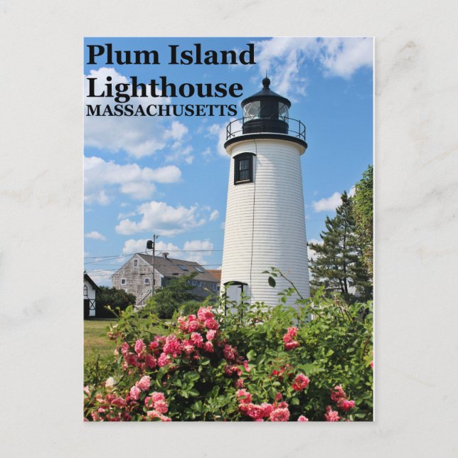 Plum Island Lighthouse, Massachusetts Postcard (Front)