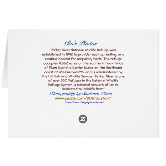 Plum Island, MA-Blank (Back Horizontal)