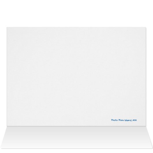 Plum Island, MA-Blank (Inside Horizontal (Top))