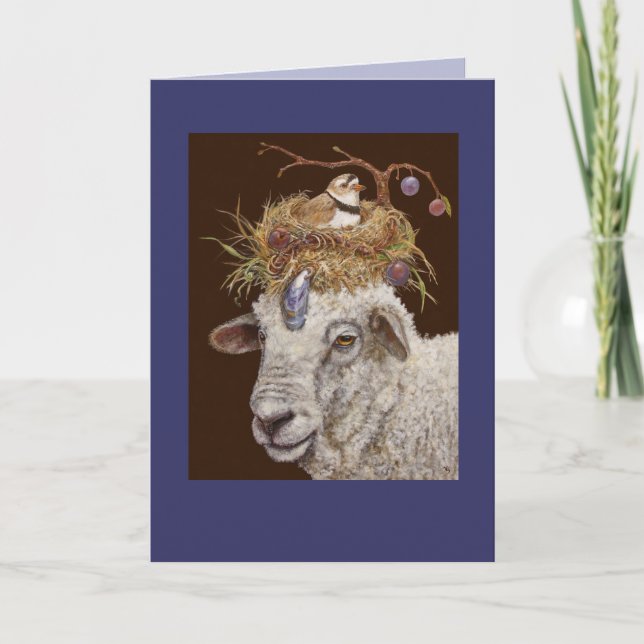 Plum Island Sheep card (Front)