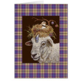 plum island sheep on plaid (Front)