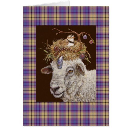 plum island sheep on plaid (Front)