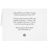 Plum Tomatoes Cards (Back Horizontal)