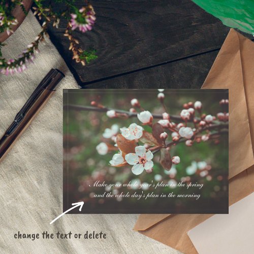 Plum Tree Branches with White Flowers Paperweight