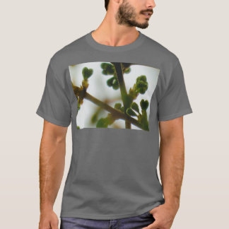 Plum Tree budding branches with heart shaped buds T-Shirt