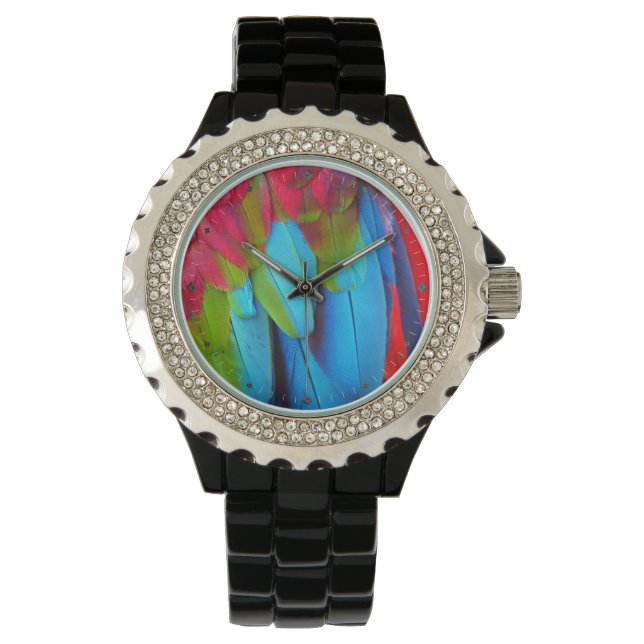 Plumage 1 Watch & Numeral Options (Front)