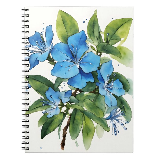 Plumbago Auriculata - Watercolor flowers Notebook (Front)