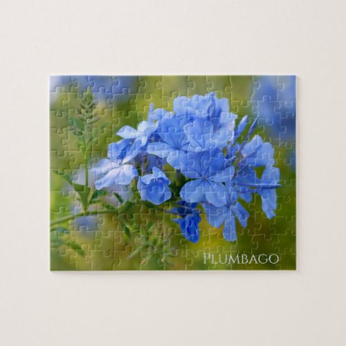 Plumbago _ Blue Summer Flowers Floral Photography Jigsaw Puzzle