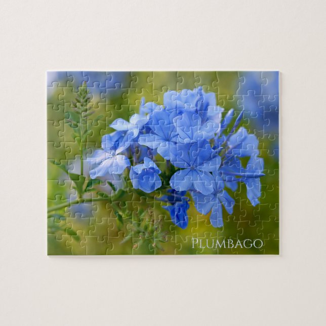 Plumbago - Blue Summer Flowers Floral Photography Jigsaw Puzzle (Horizontal)