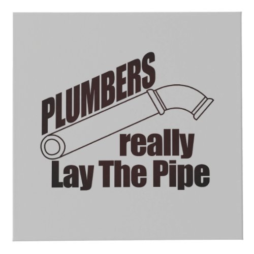 Plumbers Really Lay the Pipe Cube