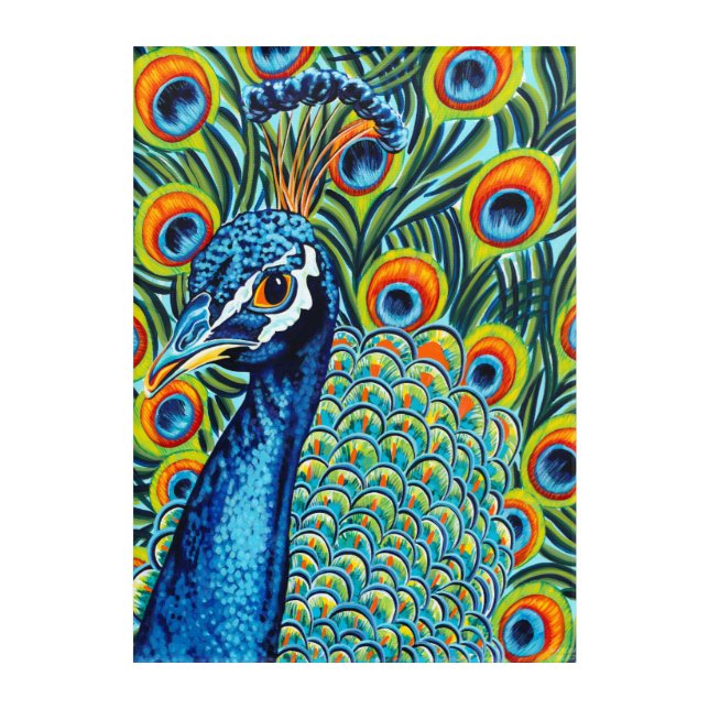 Plumed Peacock I Acrylic Print (Front)