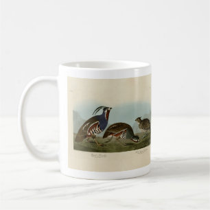Plumed & Thick-legged Partridges - Audubon's Birds Coffee Mug