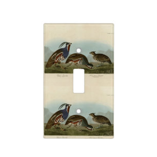 Plumed & Thick-legged Partridges - Audubon's Birds Light Switch Cover