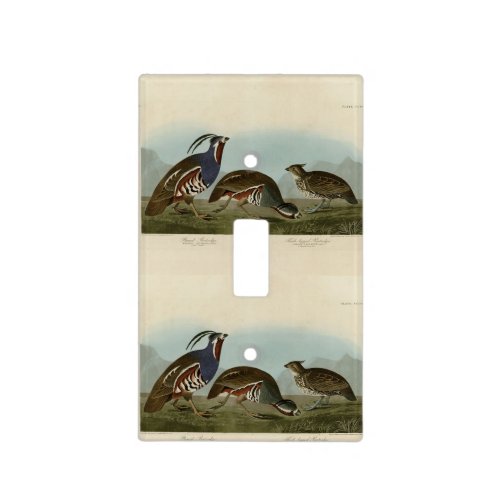 Plumed  Thick_legged Partridges _ Audubons Birds Light Switch Cover