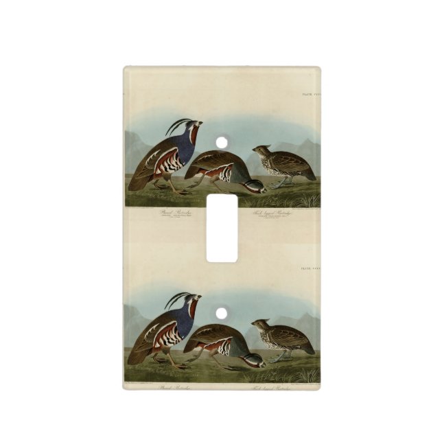 Plumed & Thick-legged Partridges - Audubon's Birds Light Switch Cover (Front)