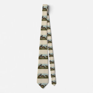 Plumed & Thick-legged Partridges - Audubon's Birds Neck Tie