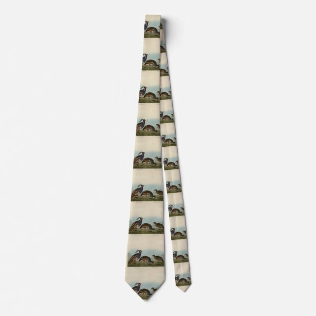 Plumed & Thick-legged Partridges - Audubon's Birds Neck Tie (Front)