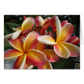 plumeria (Front Horizontal)