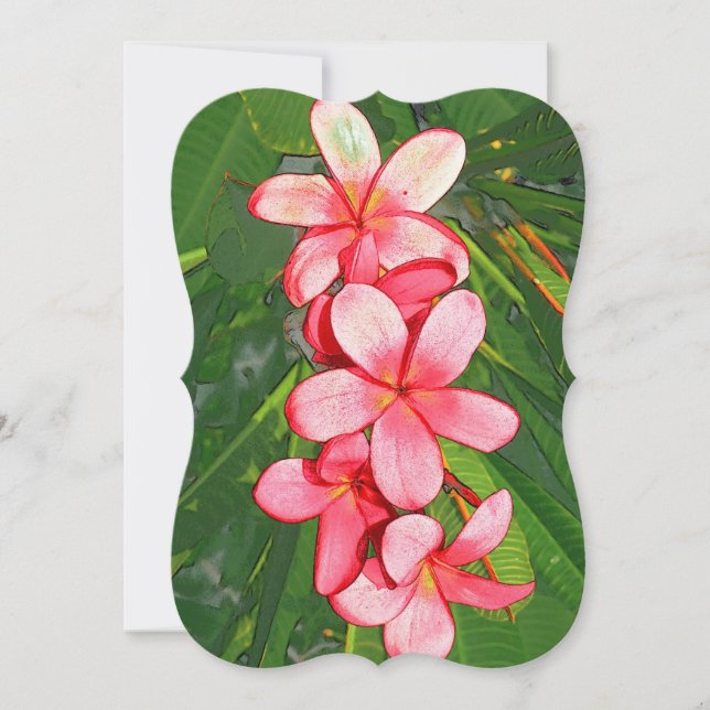 Plumeria (Front)