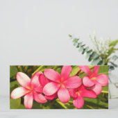 Plumeria (Standing Front)