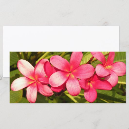 Plumeria (Front/Back)