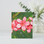 Plumeria (Standing Front)