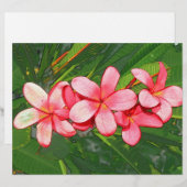 Plumeria (Front/Back)