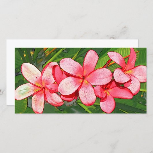 plumeria (Front/Back)