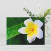 plumeria (Standing Front)