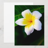 Plumeria (Front/Back)