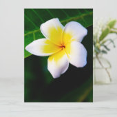 Plumeria (Standing Front)