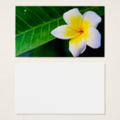 plumeria (Front & Back)