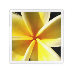 plumeria acrylic tray