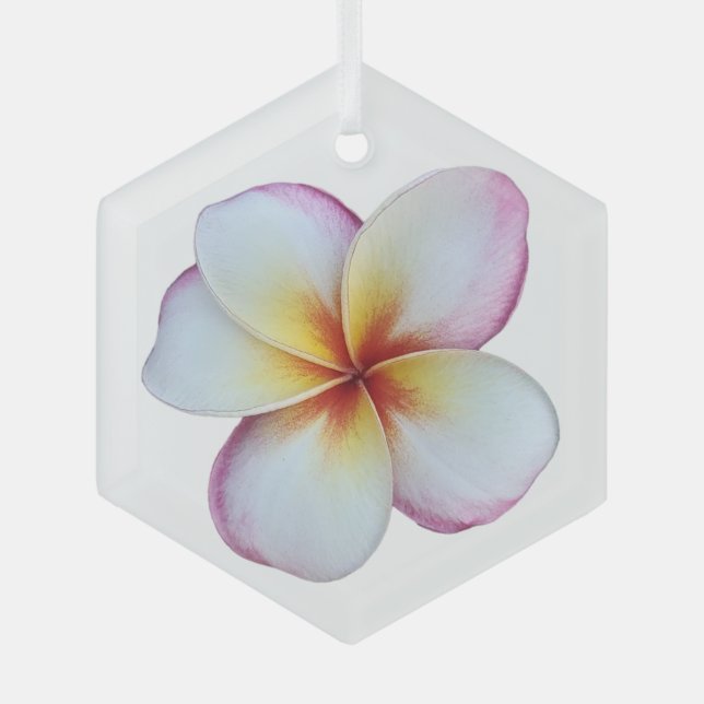 Plumeria Bloom Glass Ornament (Front)
