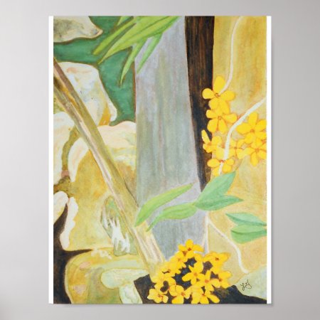 Plumeria Blooms In The Creekbed Watercolor Poster