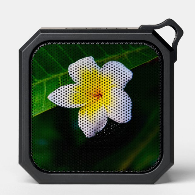 plumeria bluetooth speaker (Front)