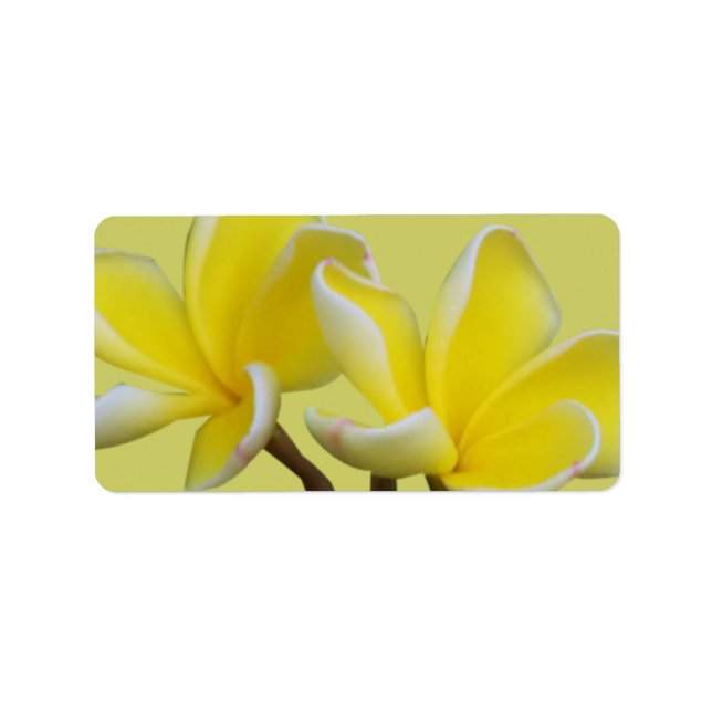 Plumeria Business Address/Shipping Labels (Front)