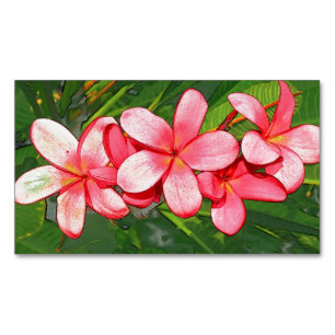 Plumeria Business Card Magnet
