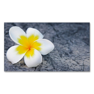 plumeria business card magnet