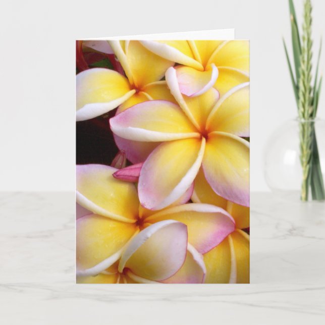 Plumeria Card (Front)